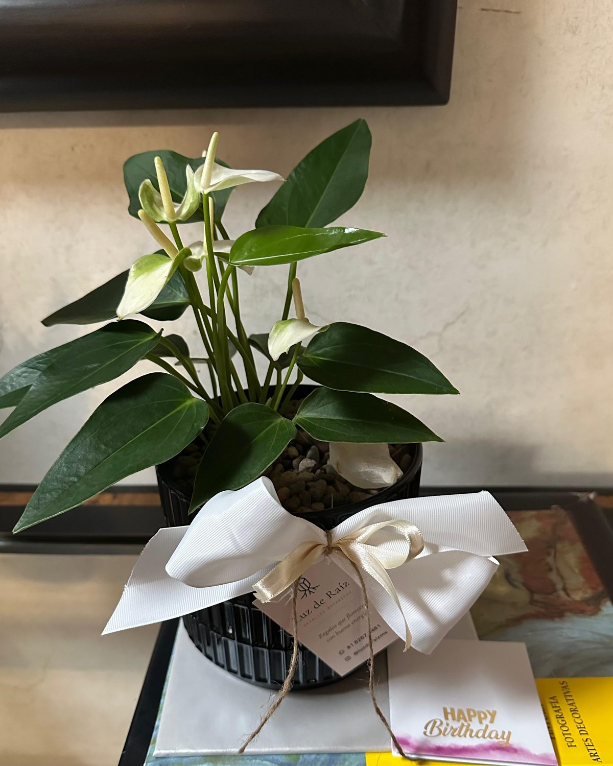 Anturio de flor blanca con cuarzo cristal, moño y tarjeta de cumpleaños