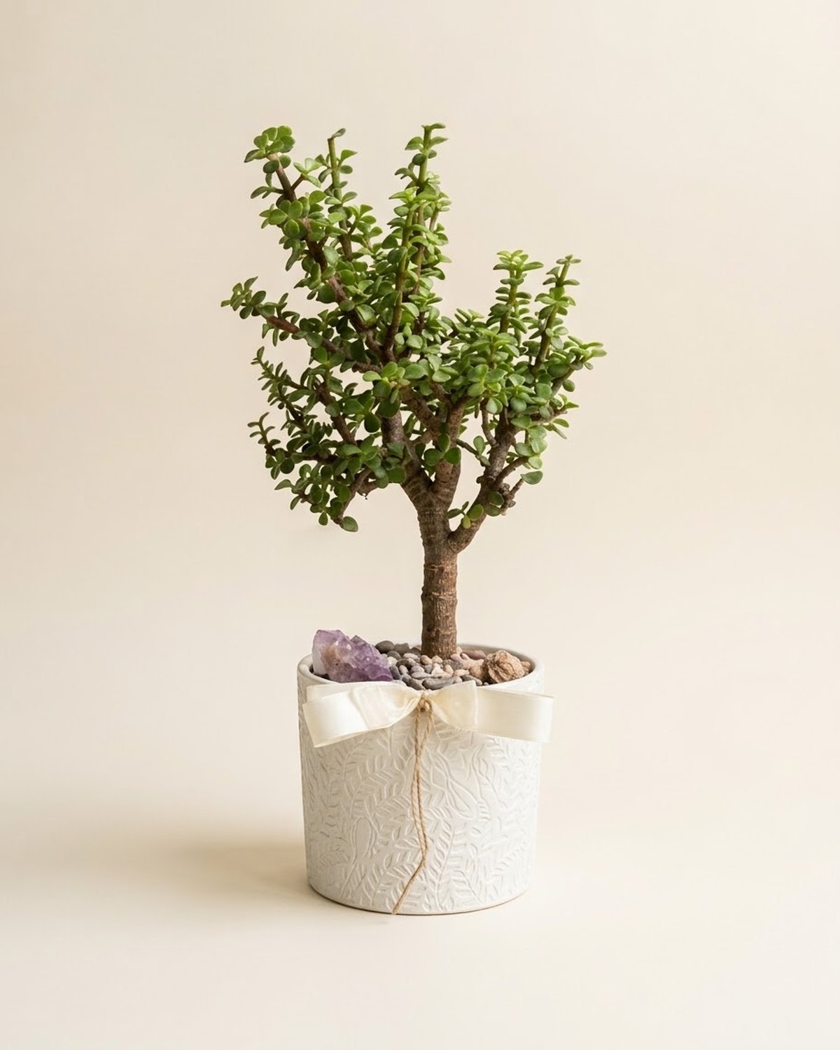 Árbol de la abundancia grande, Árbol de tronco grueso y copa ancha, con amatista y rosa del desierto.